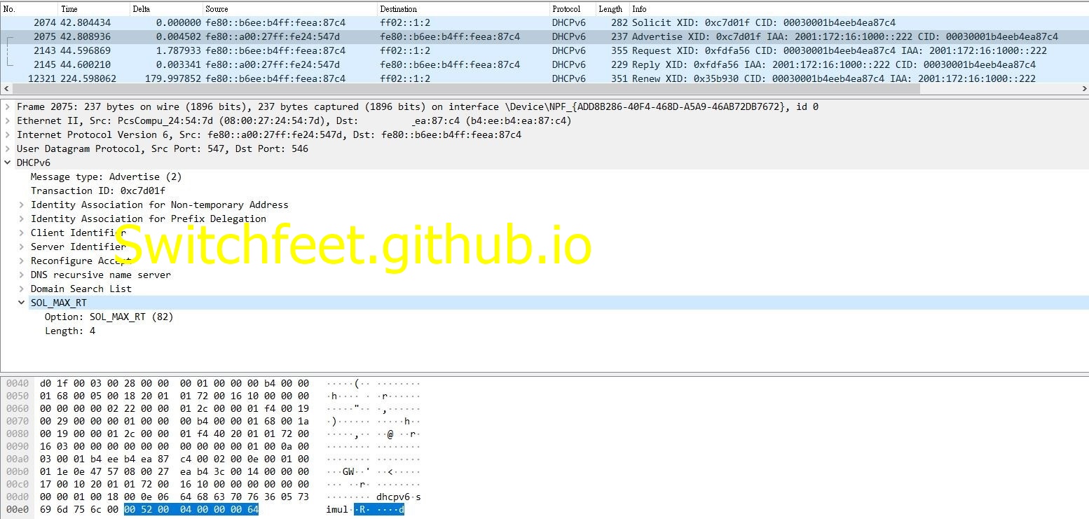 dhcp6.solmax-rt